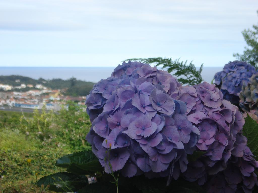 Family Holiday Villa Vacation Ponta Delgada Ngoại thất bức ảnh